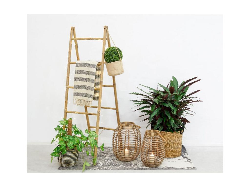 Home Furniture - Wood - Beige